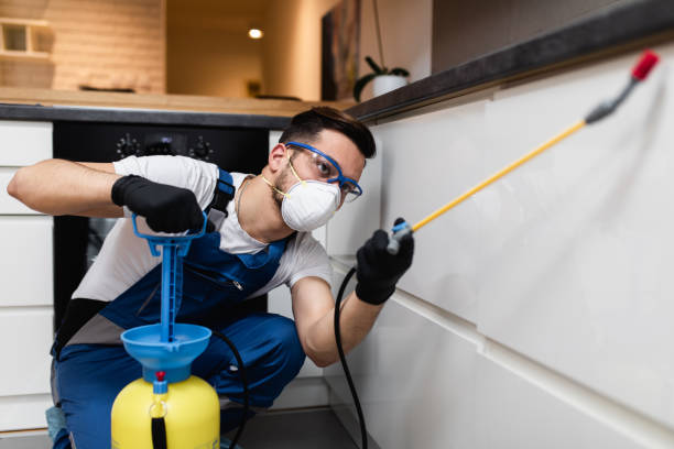 Best Pest Control for Restaurants  in Myers Corner, NY