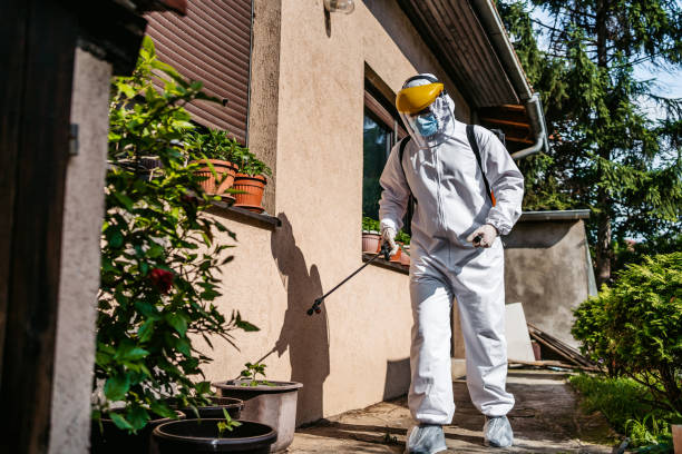 Best Wasp Removal Services  in Myers Corner, NY