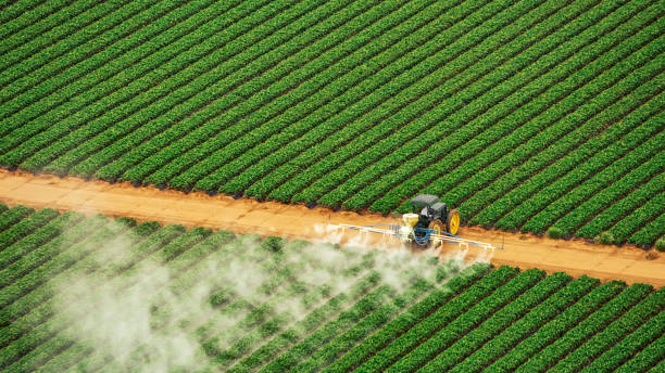 Best Pest Removal Services  in Myers Corner, NY