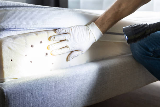 Best Best Pest Control Companies  in Myers Corner, NY