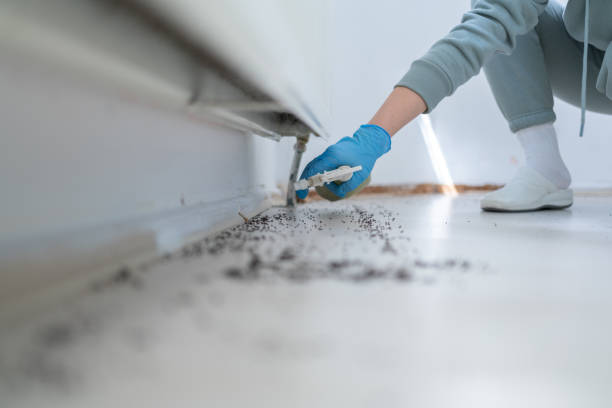 Best Bed Bug Extermination  in Myers Corner, NY